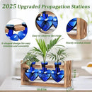 Lifecapido Heart Shaped Propagation Stations, Plant Terrarium with Wooden Stand, Plant Propagation Station for Hydroponics Plants Office Garden Home Decor, Gifts for Women Plant Lover (3 Vases, Blue) by GreenHaven Gardens