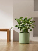 LE TAUCI 12 Inch Pots for Plants, Ceramic Large Plant Pot for Indoor Plants, Mid-Century Modern Planter Pot with Drainage Hole, Reactive Glaze Green by CozyNest Decor