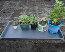 Plant Saucer Growing Tray, Seed Starter Tray Rectangular, Heavy Sturdy Plastic Plant Saucers Drainage Trays, Plant Drip Trays for Pots, Seed Starter Growing Tray (11 x 9 inch, 1 Pack) by GreenHaven Gardens