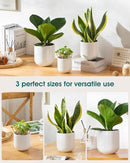 vancasso Ceramic Plant Pots, 4+5+6 inches, Set of 3, Planters with Drainage Hole, Flower Pots Planters Pots for Indoor Plants, Modern Indoor Decorative Garden Pot, Home Decor, White by GreenHaven Gardens