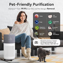 CleanForce Air Purifier for Large Rooms Up to 2550 ft², H13 HEPA Air Cleaner with Sleep Mode, Ideal for Home and Offices, Alexa Compatible, Removes Dust, Allergens, and Odors, Gray, New Edition by TinyTreasures Baby Boutique