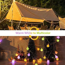 Minetom 33 Feet 100 Led Mini Globe String Lights, USB Fairy String Lights Plug in, 8 Modes with Remote, Decor for Indoor Outdoor Party Wedding Christmas Tree Garden, Warm and Multi by CozyNest Decor