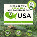 HOME GROWN 3200+ Cat Grass – 𝗡𝗢𝗡-𝗚𝗠𝗢 𝗨𝗦𝗔 Grown Catnip, Alfalfa, Oat, Cat Grass Mix – Indoor Cat Grass Kit Refill – High-Germination Pet Grass for Hairball Relief & Digestion by GreenHaven Gardens