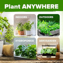 HOME GROWN 5 Herb Seeds for Planting 2,150+ Non-GMO Heirloom Seeds | Extra Large Variety Pack Herb Kit – Indoor Outdoor & Hydroponic | Culinary Seed Set | Grow Your Own Herbs | Gift for Beginners by GreenHaven Gardens