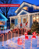 Luditek 24.5 inch Christmas Candy Cane Pathway Markers Set of 12 Christmas Outdoor Outside Decorations Lights 8 Blinking Modes Indoor Holiday Xmas Yard Patio Garden Walkway Decor by GreenHaven Gardens