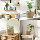 Athaliah Plant Basket, 3 PCS Plant Baskets Indoor with Plastic Liner, Water Hyacinth Woven Planters Flower Basket, Planter Basket for Rustic Boho Home Farmhouse Floor Potted Pots Decor by CozyNest Decor
