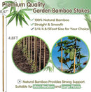 Bamboo Stakes,4.8FT Natural Bamboo Garden Stakes,BOVITRO 20Pcs Bamboo Plant Stakes,Bamboo Sticks for Tomato,Beans,Vegetable and Climbing Plants by GreenHaven Gardens