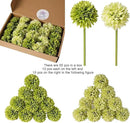 Kimura's Cabin 20Pcs Green Artificial Chrysanthemums Fake Silk Ball Flowers Mums Bouquets Arrangements Wedding Party Decor St Patricks Day Home Kitchen Garden Table DIY Floral Centerpieces (Green) by CozyNest Decor