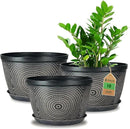 Quarut 10 Inch Flower Pots for Outdoor Indoor, 3 Pack Plastic Plant Pots with Drainage Hole & Tray, Modern Decorative Garden Pot with Saucer, planters for House (Black Copper) by CozyNest Decor