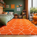 ONASAR Rugs for Living Room Bedroom, 5x8 Washable Fluffy Orange and White Area Rug, Geometric Boho Soft Plush Shaggy Fuzzy Floor Carpet for Nursery Kids Girls Boys Teen Dorm Home Decor Aesthetic by TinyTreasures Baby Boutique