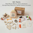 Light Blast Bundle | Electric Motors Catalyst STEM Kit & Light Pack | Learn Electronics, Science for Kids 8+ by TinyTreasures Baby Boutique