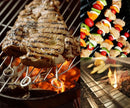 10 Inch Metal Barbecue Skewers, Stainless Steel BBQ Skewers, Shish Kebab Kabob Skewers 12 Pcs by GreenHaven Gardens