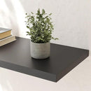 Wall Shelf Set of 2, Black Floating Shelves 24 in W x 10 in D x 1 in H, Wooden Floating Wall Shelf with Invisible Brackets for Living Room/Bedroom/Bathroom/Kitchen Storage and Decor by CozyNest Decor