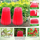 MJZ 10 Pack Walls of Water Plant Protectors, 18.3 x 18.3 Inch Reusable Wall of Water for Tomato Plants, Early Season Insulated Plant Protector Freeze Protection, Plant Covers for Winter Cold Weather by GreenHaven Gardens