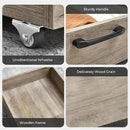 Under Bed Storage with Wheels, 2-Pack Under Bed Shoe Storage Organizer Drawer, Composite Wood Organizer for Shoes Clothes Containers in Bedroom for Clothes,Shoes(Grey) by CozyNest Decor