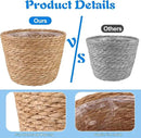 4 Pcs Large Premium Seagrass Planter Basket with Plastic Lining Natural Stylish Planter Baskets Indoor Outdoor Plants Woven Wicker Baskets for Plants Flower Pots Cover and Room Decor(10.2x7.5x7.5") by CozyNest Decor