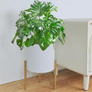 ARNIS Modern Planter Pots, Set of 2 Round Large Planters with Stand, Decorative Floor Planters, Metal Pots with Drainage Holes for Living Room, Office, Garden or Balcony, 8.25 &10.5 Inch, White & Gold by CozyNest Decor
