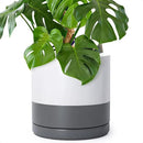 D'vine Dev 12 Inch Ceramic Planter Pot with Drainage Hole and Saucer, Indoor Cylinder Round Planter Pot, White/Speckled Grey, 94-O-F-6 by GreenHaven Gardens