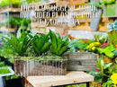 Wooden Planter Box, Rustic Barn Wood/Whitewash with Plastic Liner l Garden Decor l Restaurant and Wedding Decorations l Table Centerpiece (12x4 Set of 4, Burned Wood) by GreenHaven Gardens