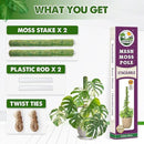 DUSPRO Green Stackable Mesh Moss Pole for Plants Climbing Vine Supporting Monstera Trellis, for Indoor Plants Extendable Plant Pole Moss Sticks, for Plants Monstera Potted Plant Stakes 2 pcs 22'' by GreenHaven Gardens