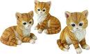 Design Toscano Tabby Kitten Triplets, Baby Cat Statues by GreenHaven Gardens