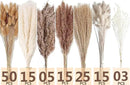 Dried Pampas Grass Decor, 128PCS Pampas Grass with Bunny Tails Dried Flowers, Reed Grass Bouquet for Wedding, Boho Flowers, Home Table Decor, Rustic Farmhouse Party by CozyNest Decor