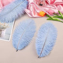 THARAHT Light Purple Ostrich Feathers 24pcs Natural Bulk 8-10Inch 20cm-25cm for Crafts Wedding Party Centerpieces Easter Gatsbi and Home Decoration Feathers by CozyNest Decor