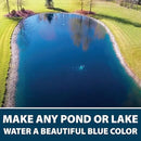 Airmax Black DyeMond Pond Dye 4X Concentrate for Outdoor Ponds & Lakes, Natural Pond Colorant & Beauty Enhancer, Block Ultraviolet Rays, Fish, Bird & Livestock Safe, Easy Liquid Application, 1 Quart by GreenHaven Gardens