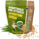 Todd’s Seeds – Cat Grass for Indoor Cats, 1lb Wheatgrass – Premium, Non-GMO, Pet-Safe & Easy to Grow – No Fillers, 100% Chemical-Free by GreenHaven Gardens