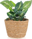 Woven Straw Flower Pot Seagrass Planters Basket Garden Plant Pot Containers Wicker Rattan Vase Sundries Organizer Storage Bins for Indoor Outdoor Plants by CozyNest Decor