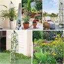 2 Pcs Garden Trellis for Climbing Plants, 6 Ft Rustproof Metal Pipe with Heavy Duty Plastic Coated, Garden Outdoor Indoor Potted Plant Support, Obelisk Garden Trellis for Climbing Vine by GreenHaven Gardens
