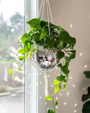 Hanging Disco Ball Planter 8" - with Acrylic Stand and Macrame Plant Hanger - Home Décor, Room Décor, Mirror Disco Planter, Disco Decor (10" with Base) by GreenHaven Gardens