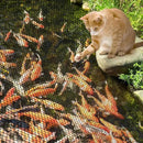 PACETAP Pond Netting Kit 20 x 30 Ft,Pond Netting for Leaves,Koi Pond Cover,Heavy Duty Koi Pond Netting,Pool Protective Cover Netting Protecting Koi Fish from Birds, Cats -Stakes Included by GreenHaven Gardens