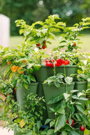 Greenstalk Patented Large 5 Tier Vertical Garden Planter with Patented Internal Watering System Great for Growing a Variety of Strawberries, Vegetables, Herbs, & Flowers (Evergreen) by CozyNest Decor