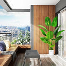 5.5ft Artificial Silk Bird of Paradise Palm Tree (65in) with 12 Trunks Faux Tree and Plastic Nursery Pot, Fake Plant for Office House Farmhouse Living Room Home Decor (Indoor/Outdoor) by CozyNest Decor