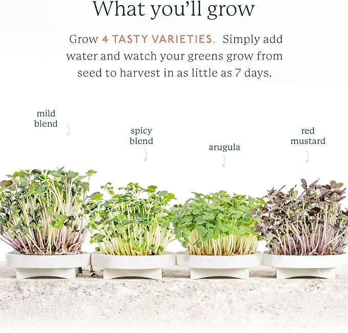 GARDYN Indoor Garden Nursery, Indoor Germination, Hydroponic Growing System - Seed Starter Tray Works with Home Tower Gardens, Vertical Garden Planters & Microgreens Growing Kits, photo 4 of 9