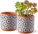 Ceramic Flower Pots for Indoor Plants Set of 2, 5 Inch Boho Plant Pot with Drainage Holes,Modern Planter for Decora Succulents/Snake Plant/Orchid/Peace Lily/House Plants,Terracotta by GreenHaven Gardens
