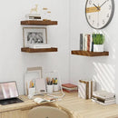 Fun Memories Wood Floating Shelves 16 Inch, 10 Inch Deep Shelves Wall Mount, Wall Shelves with Invisible Bracket, 16" Floating Shelves for Living Room Bathroom Bedroom, Rustic Brown, Set of 2 by CozyNest Decor
