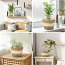 Athaliah Plant Basket, 3 PCS Plant Baskets Indoor with Plastic Liner, Water Hyacinth and Corn Stalk Woven Planters Flower Basket, Planter Basket for Rustic Home Floor Potted Pots Decor by CozyNest Decor