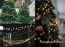 Soft Magic Twinkle Christmas String Lights 100 LED (Warm White) 36 FT, Plug in, Connectable Waterproof Green Wire, Decorations Indoor Outdoor Patio Yard Garden Wedding by GreenHaven Gardens