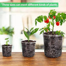 30 Packs 6.7/5/4 Inch Reinforced Clear Nursery Pots with Drainage Hole, Transparent Variety Pack Plastic Plant Pot Seedling Planter Seed Starter Flower by GreenHaven Gardens