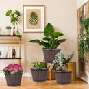 10 Inch Planter-Pots-for-Plants-Indoor-Outdoor, 4 Pack Plastic Flower Pots with Saucer & Drainage Holes, Modern Decorative Resin Garden Pots by CozyNest Decor