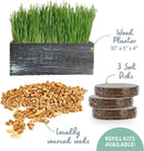 The Cat Ladies Cat Grass Kit with Black Rustic Wooden Planter, Organic Cat Grass Seeds and Soil. Easy to Grow Cat Grass for Indoor Cats. Prevent Hairballs and Aid Digestion by GreenHaven Gardens