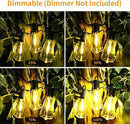 ZOTOYI Outdoor String Lights 50 FT, Patio Bulbs with 27 LED Plastic Edison ST38 Bulbs (2 Spare), Waterproof IP65 Outdoor Hanging Lights for Garden, Backyard, Cafe, Porch, Gift, Gazebo - Dimmable 2700K by GreenHaven Gardens