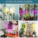 LED Grow Lights for Indoor Plants with 15-60 inches Adjustable Tripod Stand Plant Light with 4/8/12H Timer with Remote Control… by GreenHaven Gardens