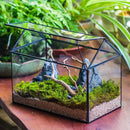 NCYP House Shape Glass Terrarium with Acrylic Lid - 10.2x5.9x8.2 Inches Large Geometric Box for Snails, Ferns, Succulents, Air Plants, Indoor Tabletop Decor, Handmade (Terrarium Only) by CozyNest Decor