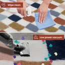 Super Soft Rug for Bedroom, 3x5 Ft Rainbow Area Rug Classic Checkered Shaggy Rug Anti-Skid High Pile Soft Fluffy Fuzzy Carpet for Living Room Bedroom Kids Room Nursery, Dorm Home Decor by TinyTreasures Baby Boutique