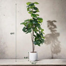 Artificial Fiddle Leaf Tree, 6ft Faux Plant Fake Ficus Lyrata Trees with White Planter, Artificial Fig Trees Floor Plants for House Office Living Room Indoor Home Decor, Housewarming Gift by CozyNest Decor