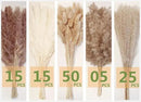 Natural Dried Pampas Grass Decor, 110 PCS Pampas Grass Contains White Bunny Tails Dried Flowers, Artificial Flowers for Bathroom Decor, Bathroom Wall Decor, Office Decor and Baby Shower Decorations by CozyNest Decor