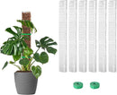 EOX 6 Pcs 24 Inch Plastic Moss Pole for Plants Monstera, Plant Poles for Climbing Plants, Plant Support for Indoor Plants Work with Sphagnum Moss, Garden Ties by GreenHaven Gardens